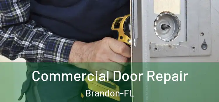  Commercial Door Repair Brandon-FL