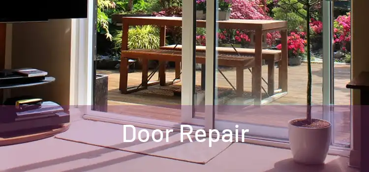 Door Repair