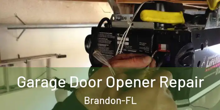  Garage Door Opener Repair Brandon-FL