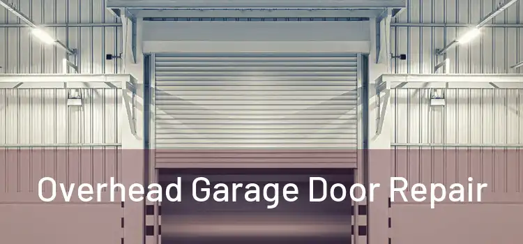  Overhead Garage Door Repair 