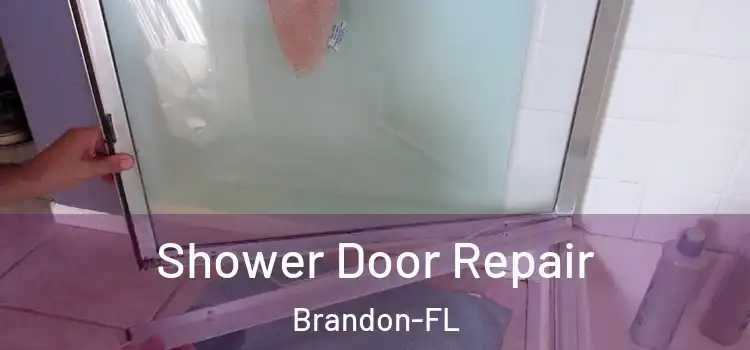  Shower Door Repair Brandon-FL